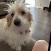 EvaLynn Lopez - @evalynnlopez2 - TikTok