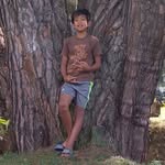 Evan Aaron - @evan.aaron.161 - Instagram