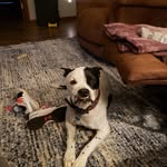 Evan Abell - @e.abell3600 - Instagram