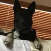 Evan Abrams - @evanabrams0 - TikTok