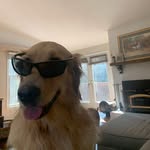 Evan Addis - @evan_addis - Instagram