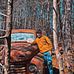 Evan Allison - Facebook