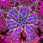 Evan Allison - @allison.evan - Instagram