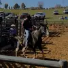 ✝️🐴evanallison361_🐄✝️ - @evanallison361_ - TikTok