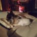 Evan Anthony - Facebook