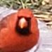 Evan Applegate - Facebook