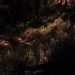 Evan Applegate - @evandapplegate - Instagram