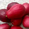 appril - @evan.april - TikTok