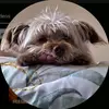 evanarias7 - @evanarias7 - TikTok