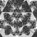 Evan Arrowsmith - Facebook