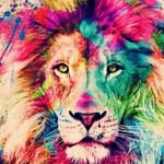 Evan arroyo coronado - @evanarroyocoronado - Instagram