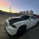 boog - @evan.asheim - Instagram
