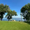 Evan Ash - @evan.ash20 - TikTok