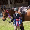 evan.dault_11 - @evan.dault_11 - TikTok