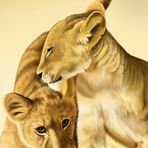 Evan Ayala - Facebook