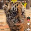 Evann Mazure - @evann.mazure - TikTok
