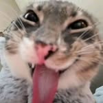 Evan - @e.v.a.n.b.a.b.b - Instagram