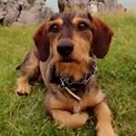 Evan - @evanbacamickeymouse - Instagram