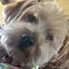 Evan - @evan_bacon9 - TikTok