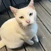 evan - @evan.bardy - TikTok