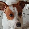 Evan Barbier - @evan.barbier0 - TikTok