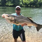 Evan Barger - @fish_are_friends_48 - Instagram