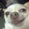 Evan Barger - @evan.barger - TikTok
