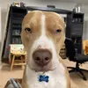 EvanBarney_ - @evanbarney_ - TikTok
