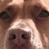 Evan Bartholomew - @evan.bartholomew1 - TikTok