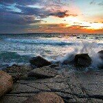 evan bartley - @evanbartley2001 - Instagram