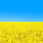 Иван Башлаков - @evanbashlakov - Instagram