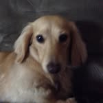 Evan Bashans - @evan_bashans_115 - Instagram
