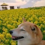 @evan_baumgartner2 - Instagram