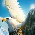 Evan Bean - Facebook