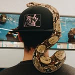 Evan Bean - @evan.tc.bean - Instagram