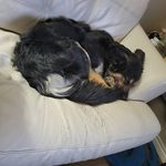 Evan Beaton - @alphasingularity - Instagram
