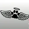 Evan Bedard377 - @chevyevy07 - TikTok
