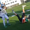 Evanbedard - @evanbedard53 - TikTok