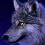 Evan Behnke - @evanthebeast_ - Instagram