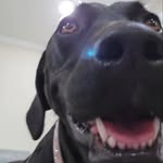 Evan Behnke - @behnke.evan - Instagram