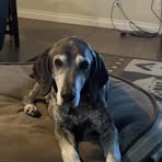 Evan Blier - Facebook