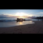 Evan Beigel - @evanbeigel2 - Instagram