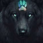 evanbenefield - @evanbenefield5 - Instagram