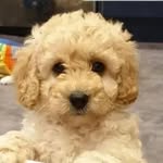 Evan_Bentley_2 - @evanmgb0 - Instagram