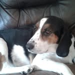Evan Bentley - @evlanb123 - Instagram