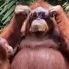 Evan Bentley - @evanbentleyy - TikTok