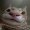 evan_bentley_ - @evan_bentley_ - TikTok