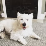 Evan Besser - @ebessa - Instagram