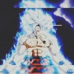 evan bianchi - @evanbia - Instagram