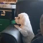 Evan Biddle - @evan.biddle.9 - Instagram